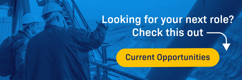 Professional engineer next role