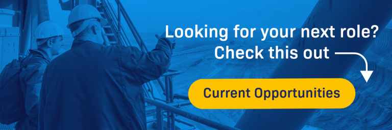 Professional engineer next role