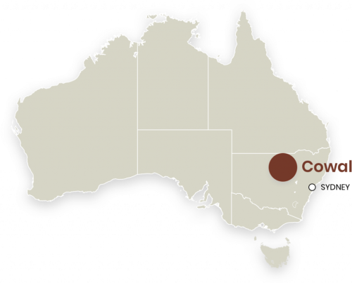 Cowal Map - source evolution cowal website